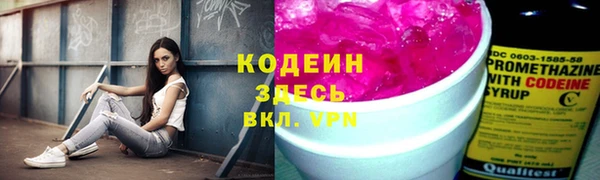 спиды Новозыбков