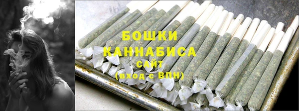 хмурый Дубна