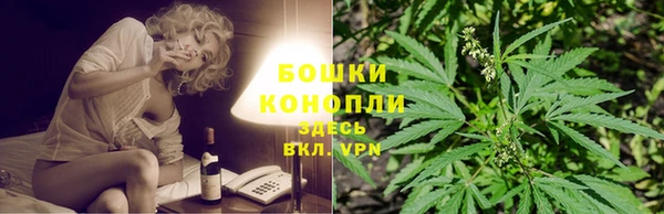сатива Нефтекумск