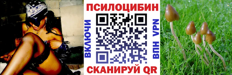 Галлюциногенные грибы Magic Shrooms  Кизляр 