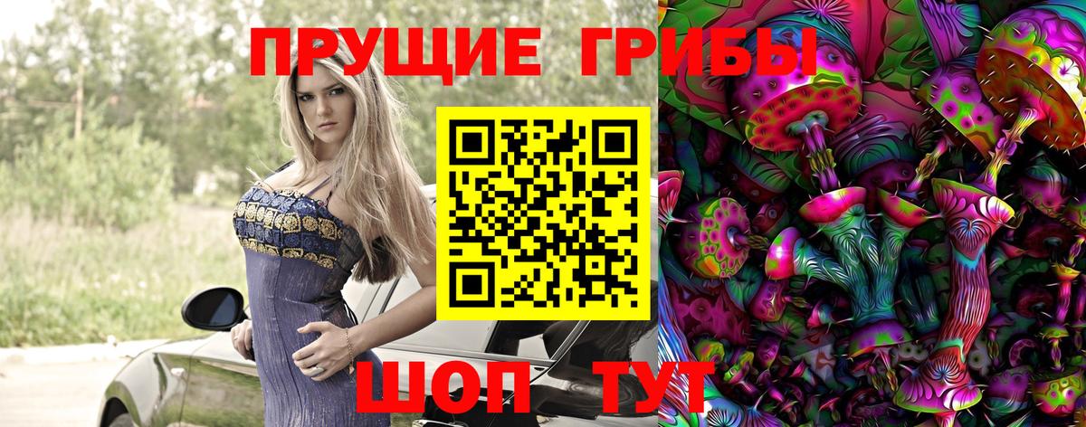 Галлюциногенные грибы Psilocybine cubensis  Псилоцибиновые грибы ЛСД  Вход с VPN  Кизляр 