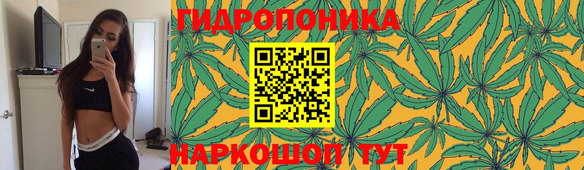 Конопля семена Кизляр